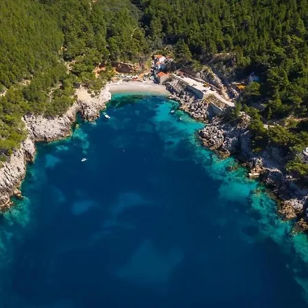 Apartment Seaside Secluded Cove Sutmiholjska, Mljet - 22318